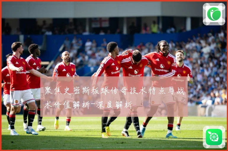聚焦史密斯板球传奇技术特点与战术价值解析-深度解析